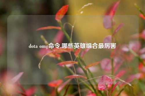 dota omg命令,哪些英雄组合最厉害