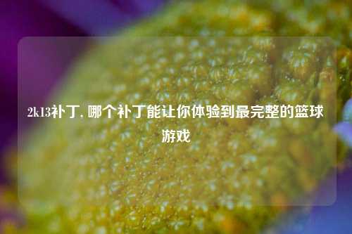 2k13补丁, 哪个补丁能让你体验到最完整的篮球游戏