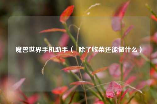 魔兽世界手机助手（  除了收菜还能做什么）