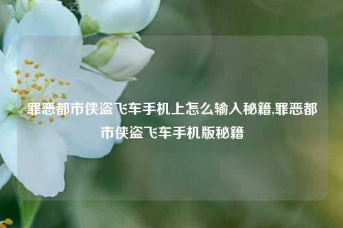 罪恶都市侠盗飞车手机上怎么输入秘籍,罪恶都市侠盗飞车手机版秘籍
