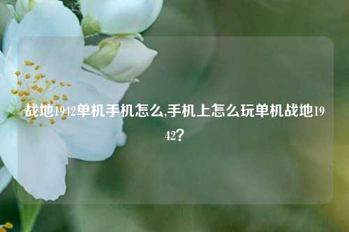 战地1942单机手机怎么,手机上怎么玩单机战地1942？