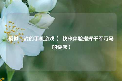 模拟二战的手机游戏（  快来体验指挥千军万马的快感）