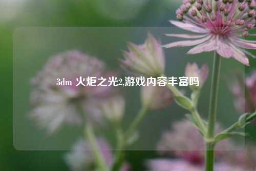 3dm 火炬之光2,游戏内容丰富吗
