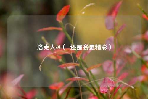 洛克人x9（  还是会更精彩）