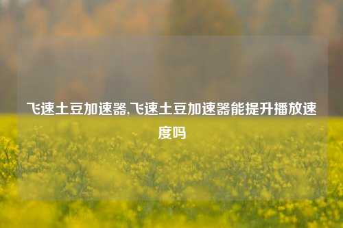 飞速土豆加速器,飞速土豆加速器能提升播放速度吗