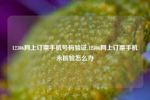 12306网上订票手机号码验证,12306网上订票手机未核验怎么办