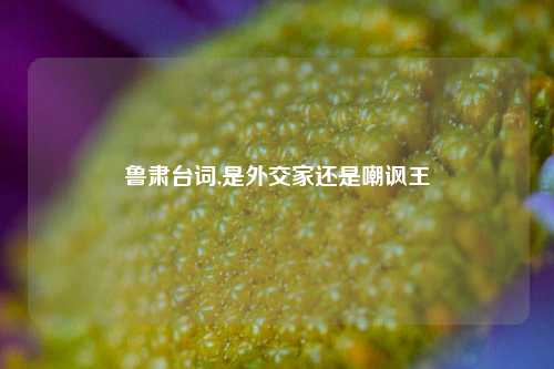 鲁肃台词,是外交家还是嘲讽王