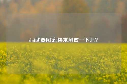 dnf武器图鉴,快来测试一下吧？