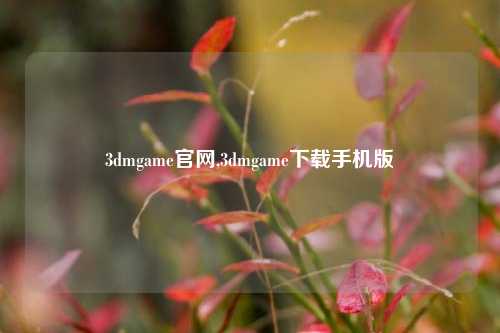 3dmgame官网,3dmgame下载手机版