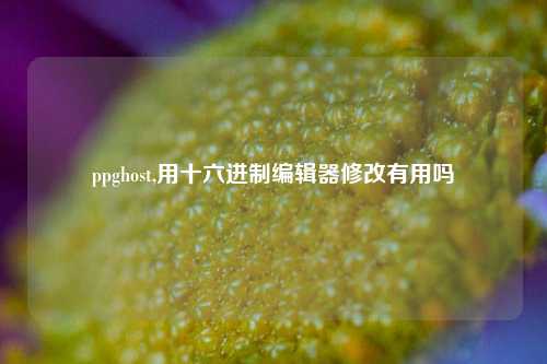 ppghost,用十六进制编辑器修改有用吗