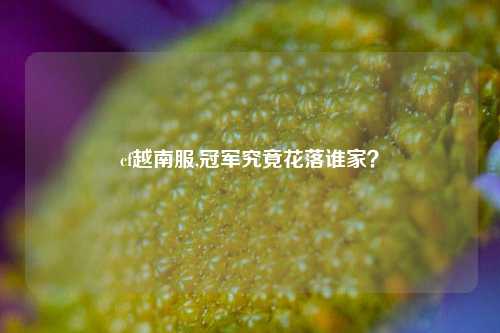 cf越南服,冠军究竟花落谁家？