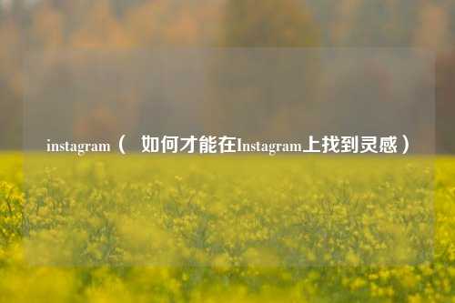 instagram（  如何才能在Instagram上找到灵感）