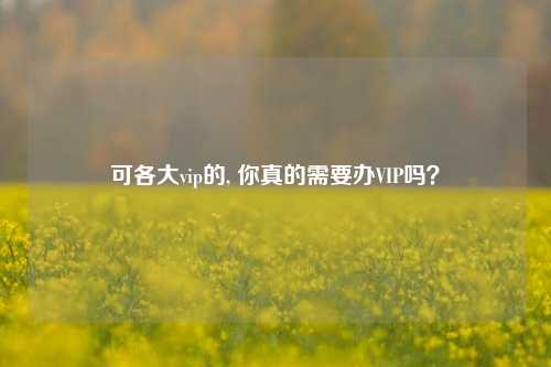 可各大vip的, 你真的需要办VIP吗？