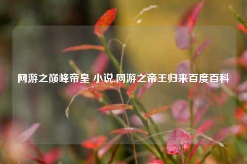 网游之巅峰帝皇 小说,网游之帝王归来百度百科