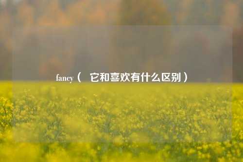 fancy（  它和喜欢有什么区别）
