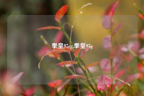 拳皇97cg,拳皇97g