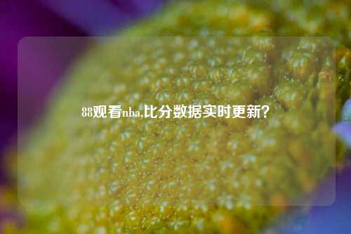 88观看nba,比分数据实时更新？