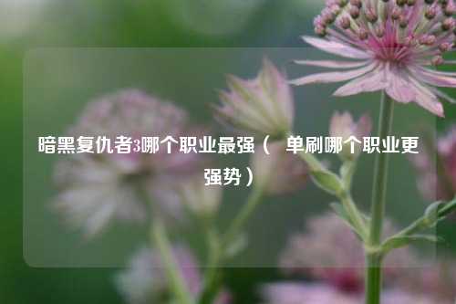 暗黑复仇者3哪个职业最强（  单刷哪个职业更强势）