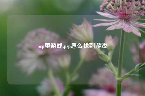 psp里游戏,psp怎么找到游戏