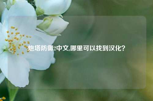 炮塔防御2中文,哪里可以找到汉化？