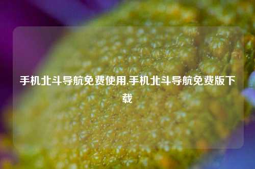 手机北斗导航免费使用,手机北斗导航免费版下载