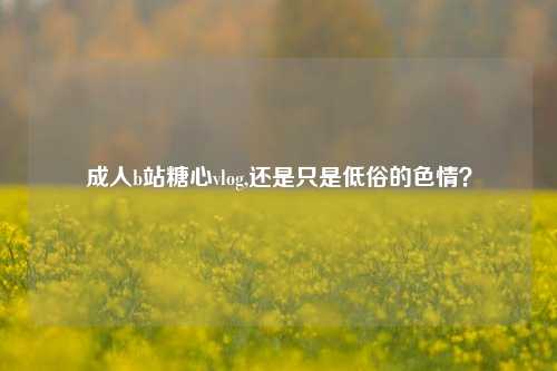 成人b站糖心vlog,还是只是低俗的色情？