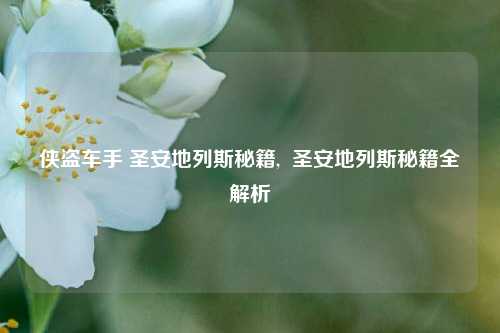 侠盗车手 圣安地列斯秘籍,  圣安地列斯秘籍全解析