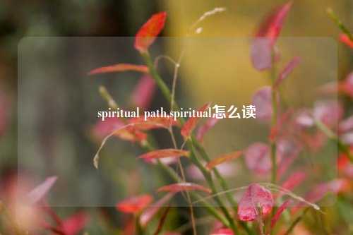 spiritual path,spiritual怎么读