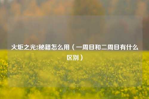 火炬之光2秘籍怎么用（一周目和二周目有什么区别）