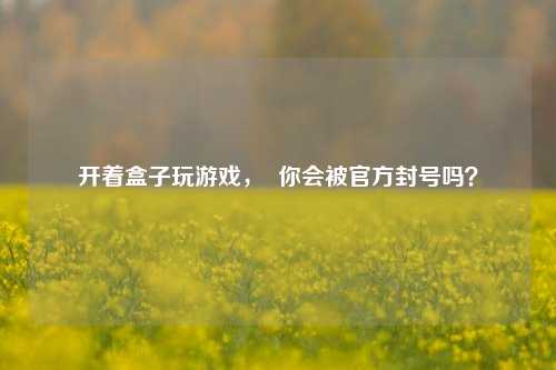 开着盒子玩游戏，  你会被官方封号吗？