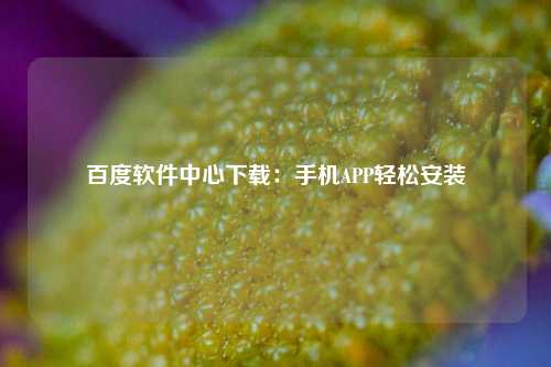 百度软件中心下载：手机APP轻松安装