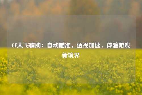 CF大飞辅助：自动瞄准，透视加速，体验游戏新境界