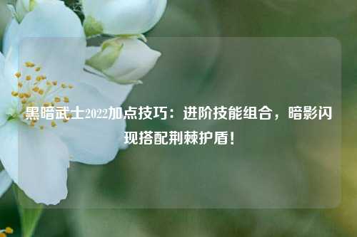 黑暗武士2022加点技巧：进阶技能组合，暗影闪现搭配荆棘护盾！