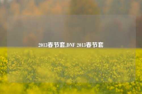 2013春节套,DNF 2013春节套