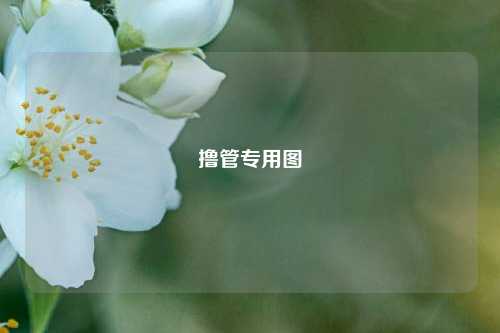 撸管专用图