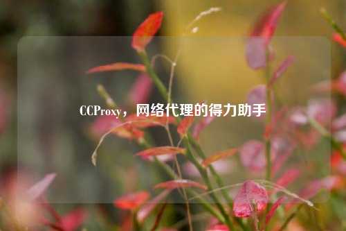 CCProxy，网络代理的得力助手