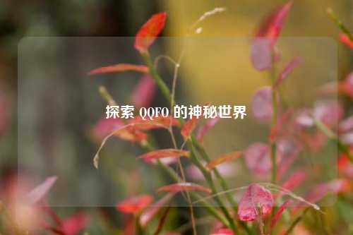 探索 QQFO 的神秘世界