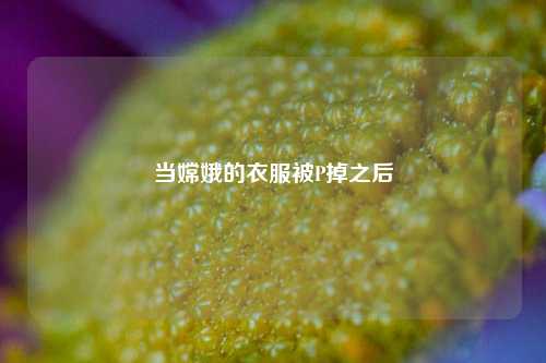 当嫦娥的衣服被P掉之后