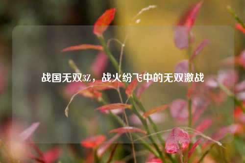 战国无双3Z，战火纷飞中的无双激战