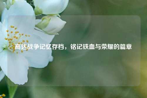高达战争记忆存档，铭记铁血与荣耀的篇章