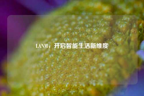 LANM，开启智能生活新维度