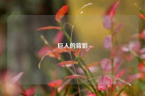 巨人的背影