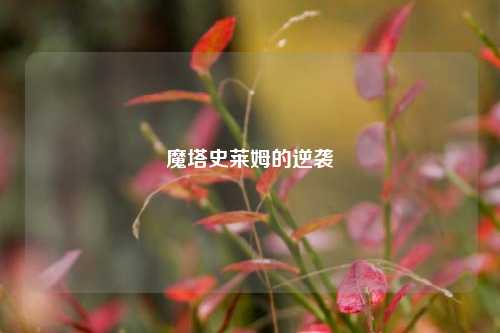 魔塔史莱姆的逆袭