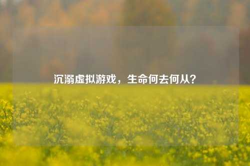 沉溺虚拟游戏，生命何去何从？
