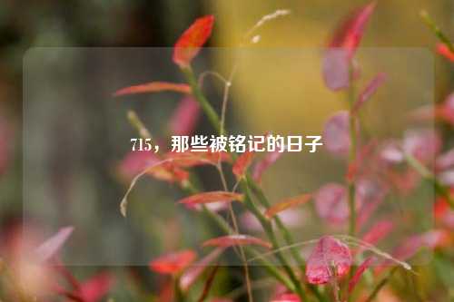 715，那些被铭记的日子