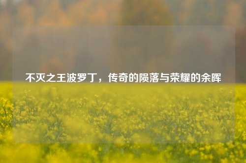 不灭之王波罗丁，传奇的陨落与荣耀的余晖