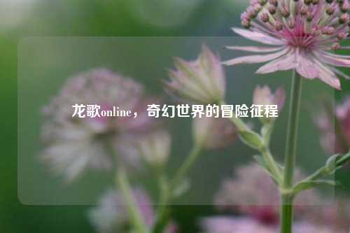 龙歌online，奇幻世界的冒险征程