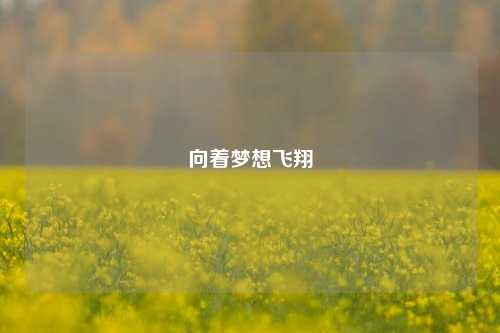 向着梦想飞翔