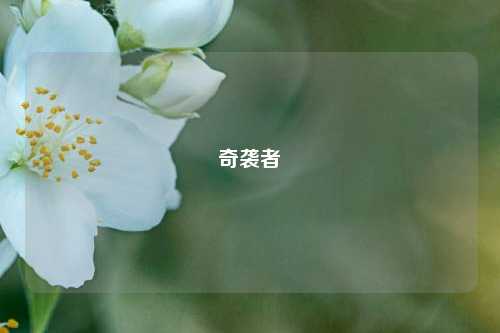 奇袭者