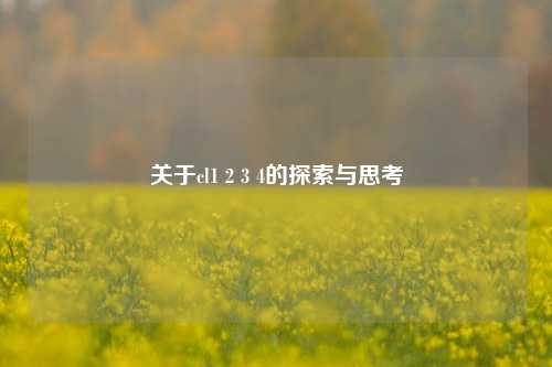 关于cl1 2 3 4的探索与思考